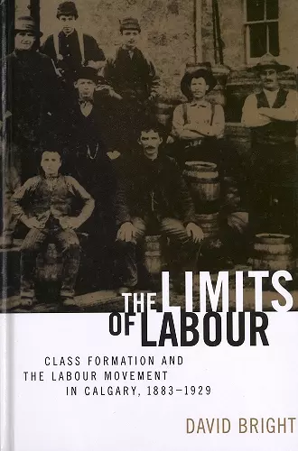 The Limits of Labour cover