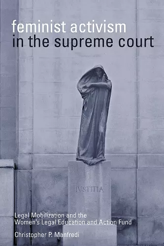 Feminist Activism in the Supreme Court cover