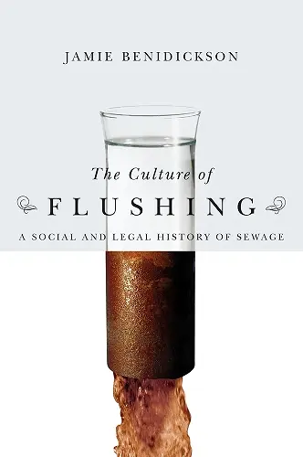 The Culture of Flushing cover
