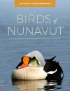 Birds of Nunavut cover