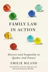 Family Law in Action cover