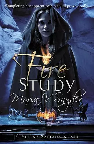 Fire Study cover