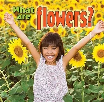 What are Flowers cover