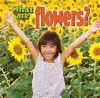 What are Flowers cover