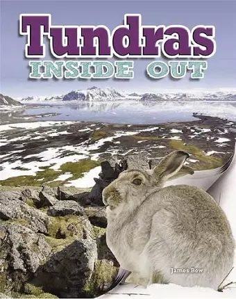 Tundras cover