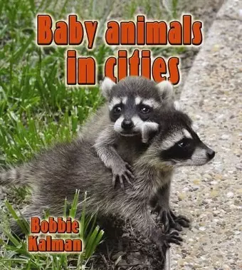 Baby Animals in Cities cover