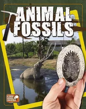 Animal Fossils cover