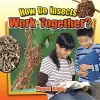 How Do Insects Work Together? cover