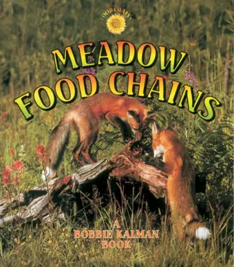 Meadow Food Chains cover