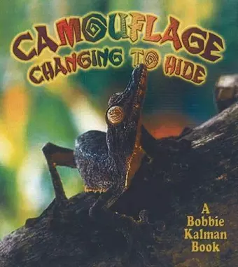 Camouflage cover