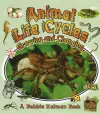 Animal Life Cycles cover