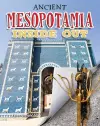 Ancient Mesopotamia Inside Out cover