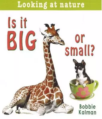 Is It Big or Small? cover