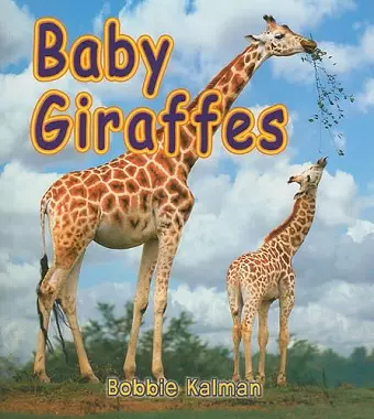 Baby Giraffes cover