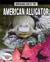 American Alligator cover