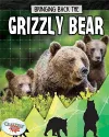 Grizzly Bear cover