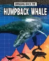 Humpback Whale cover