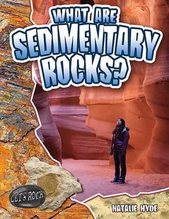 What are Sedimentary Rocks? cover