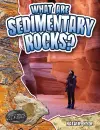 What are Sedimentary Rocks? cover