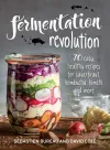 Fermentation Revolution cover
