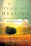 A Place of Healing cover