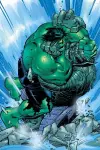 Incredible Hulk: Past Perfect cover