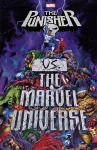 Punisher Vs. The Marvel Universe cover