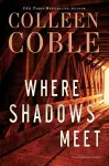 Where Shadows Meet cover