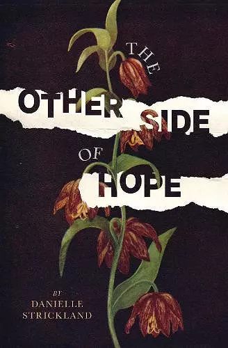 The Other Side of Hope cover