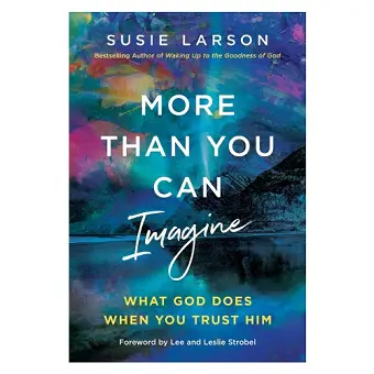 More Than You Can Imagine cover