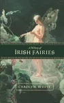 A History of Irish Fairies cover