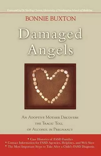 Damaged Angels cover