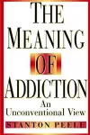 The Meaning of Addiction cover