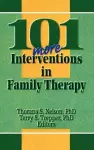 101 More Interventions in Family Therapy cover