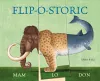 Flip-o-storic cover