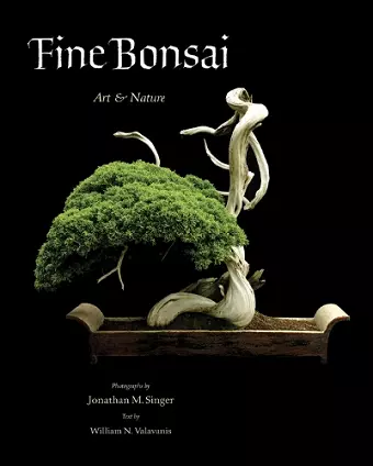 Fine Bonsai - Deluxe Edition cover