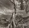 Ancient Trees cover