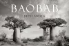 Baobab cover