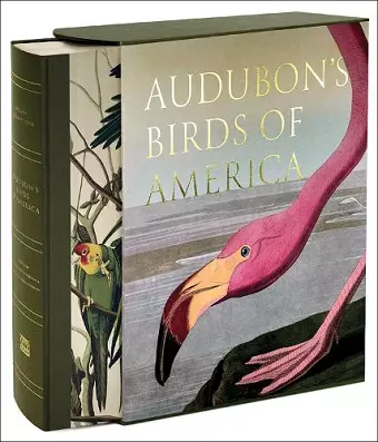 Audubon’s Birds of America cover