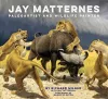 Jay Matternes cover