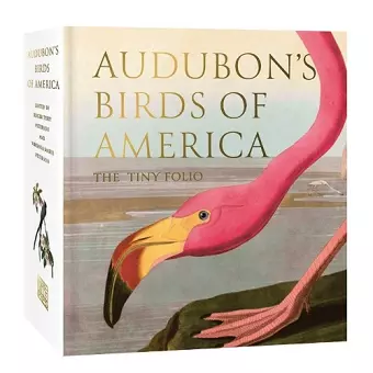 Audubon's Birds of America cover