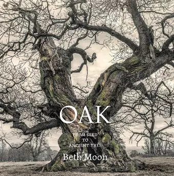 Oak cover