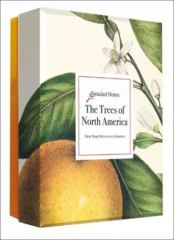 The Trees of North America Detailed Notecard Set cover