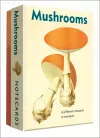 Mushrooms Detailed Notecard Set cover