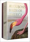 Audubon's Birds of America cover