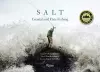 Salt cover