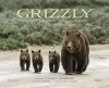 Grizzly cover