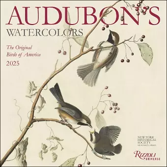 Audubon's Watercolors 2025 Wall Calendar cover