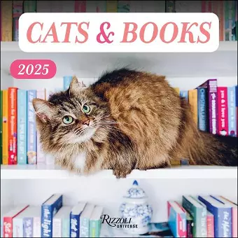 Cats & Books 2025 Wall Calendar cover