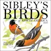 Sibley's Birds of North America 2026 Wall Calendar cover